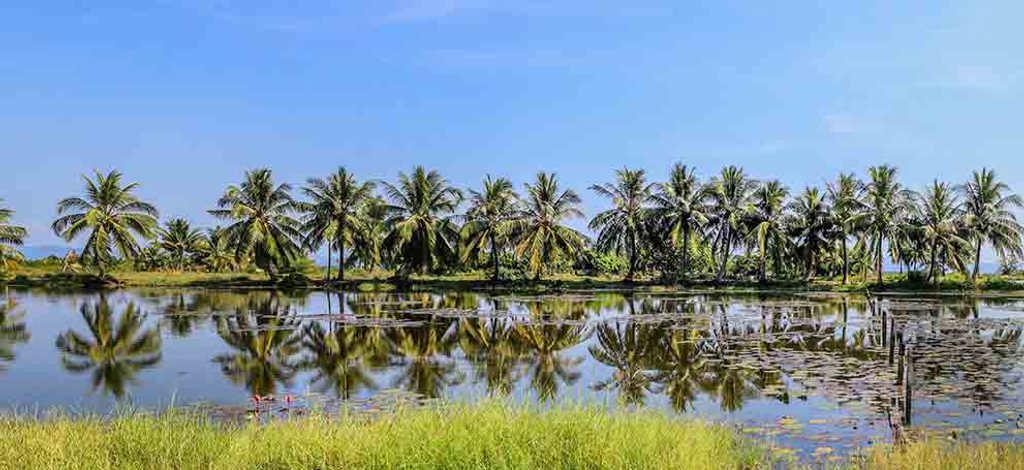 Hotels in Koh Kong